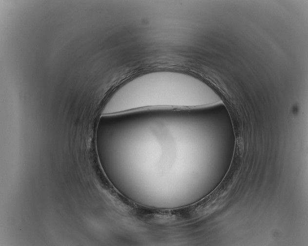 X0000091520458200708171013
