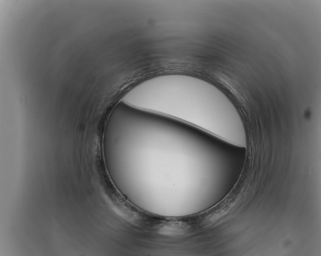 X0000091520459200708171013
