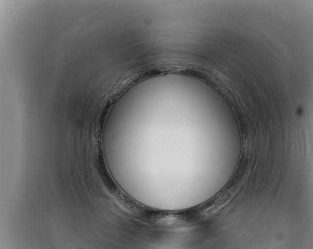 X0000091520460200708171013