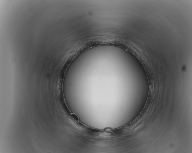 X0000091520462200708171013