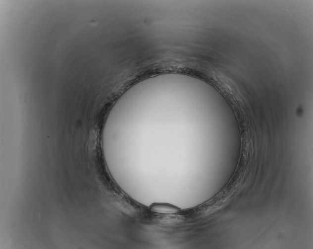 X0000091520463200708171013