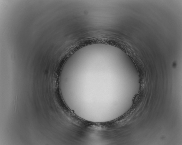 X0000091520464200708171013