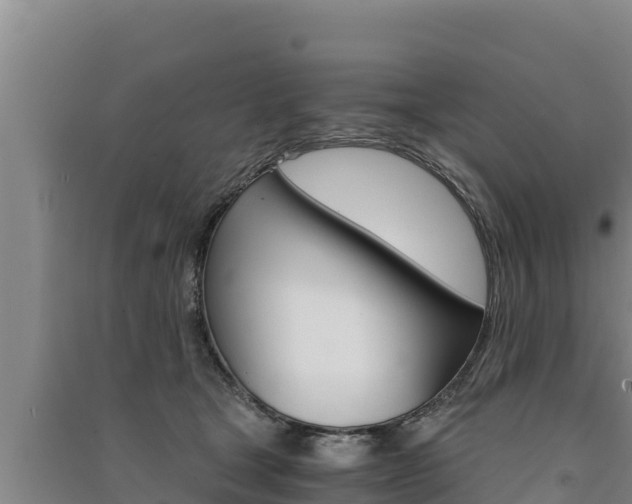 X0000091520465200708171013