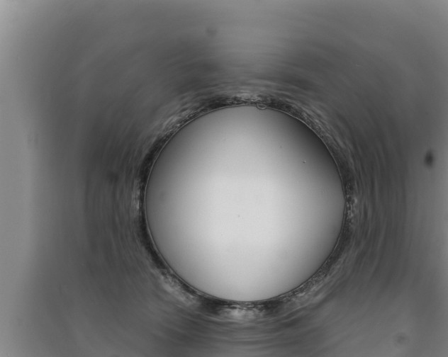 X0000091520466200708171013