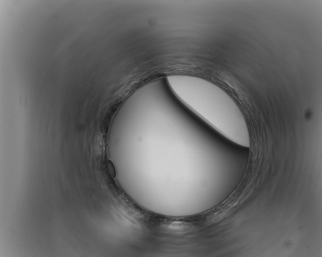 X0000091520467200708171013