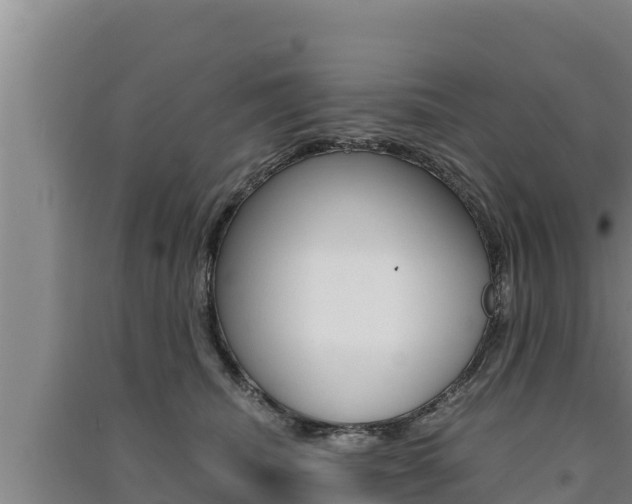 X0000091520468200708171014
