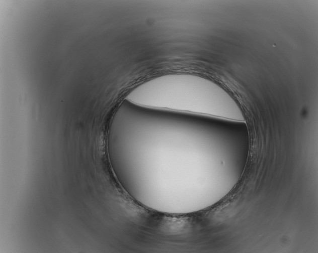 X0000091520469200708171014