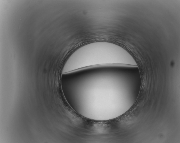 X0000091520470200708171014