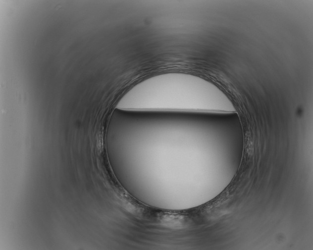 X0000091520471200708171014