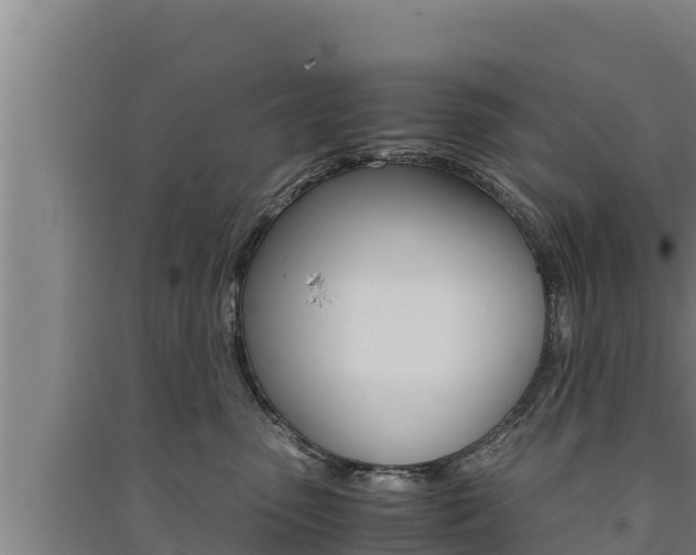 X0000091520475200708171014