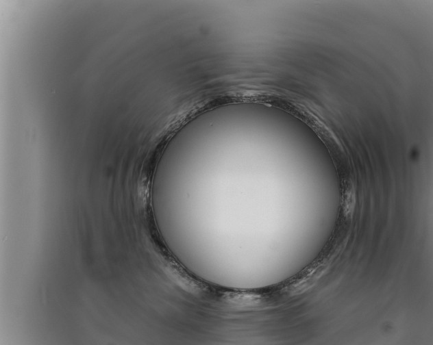 X0000091520476200708171014