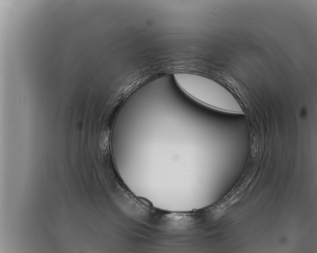 X0000091520477200708171014