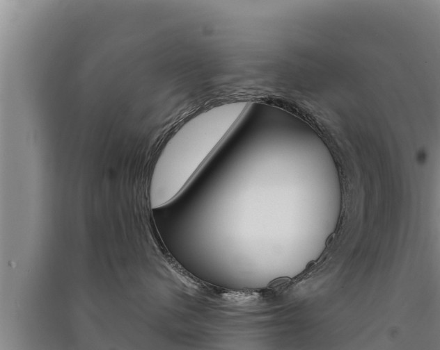 X0000091520480200708171014