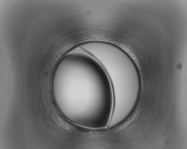 X0000091520481200708171013