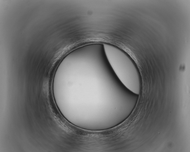 X0000091520482200708171013