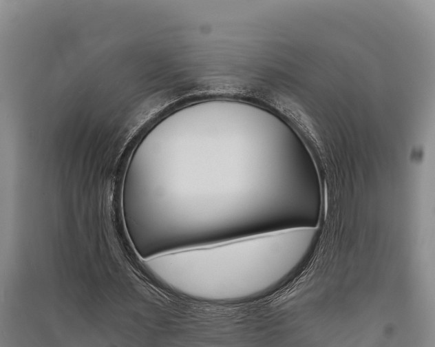 X0000091520483200708171013
