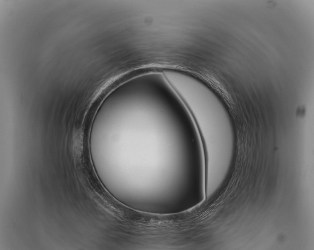 X0000091520484200708171013
