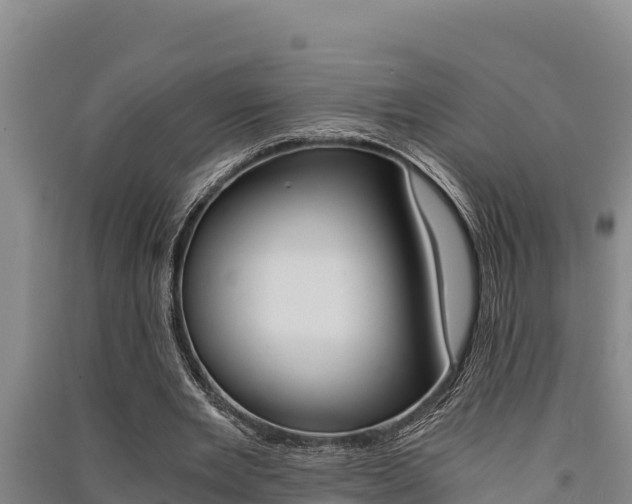 X0000091520485200708171013