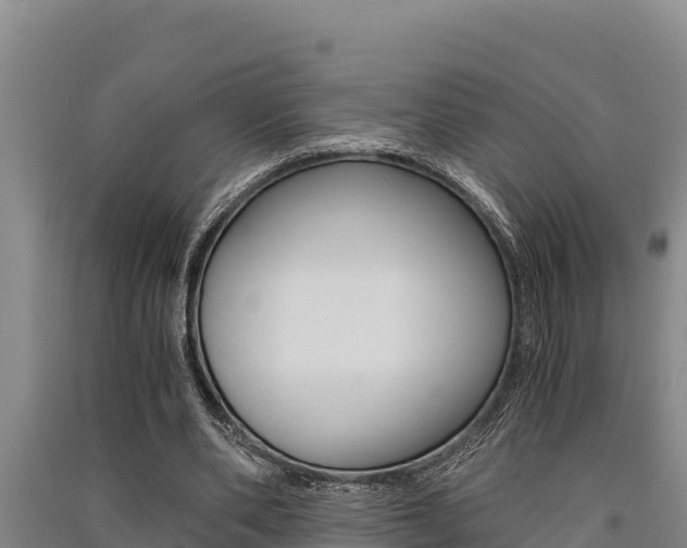 X0000091520486200708171013