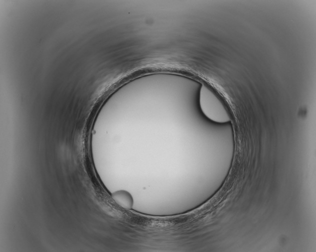 X0000091520487200708171013
