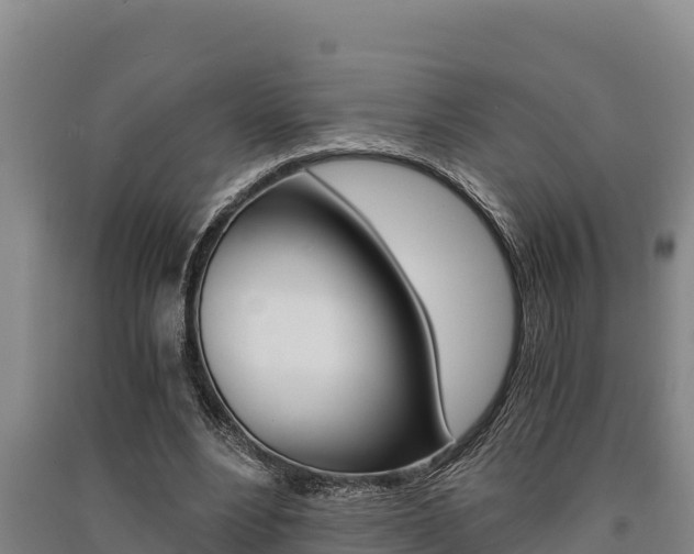 X0000091520488200708171013