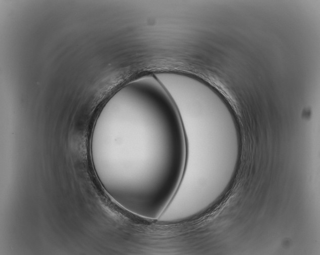 X0000091520489200708171013