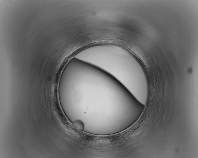 X0000091520491200708171013