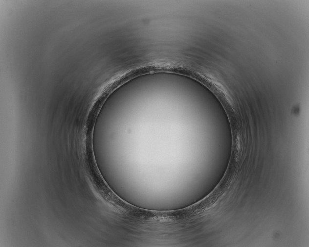 X0000091520492200708171013