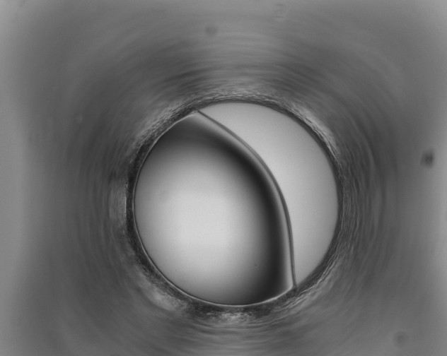 X0000091520493200708171013