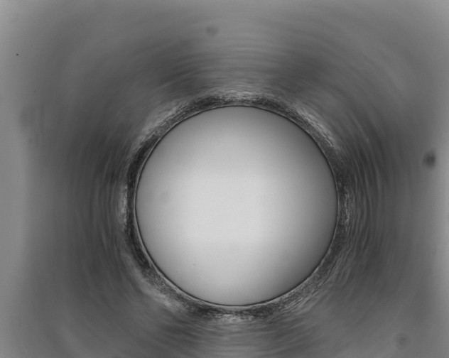 X0000091520494200708171013