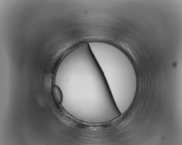 X0000091520495200708171013