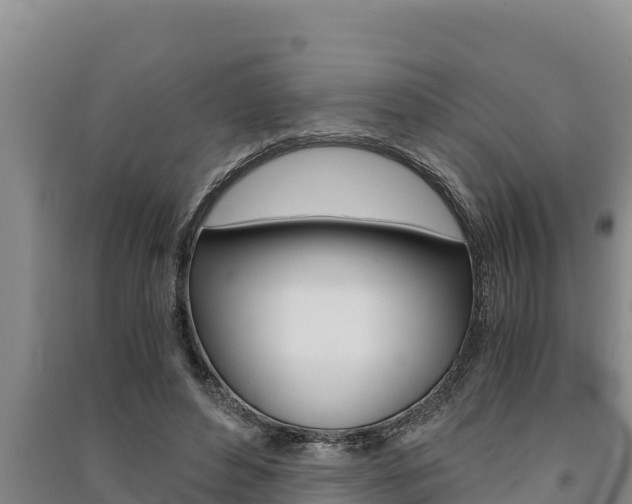 X0000091520496200708171013