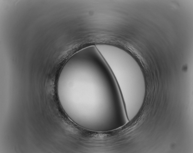 X0000091520497200708171013