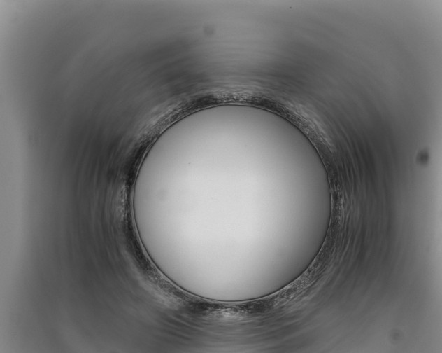 X0000091520498200708171013