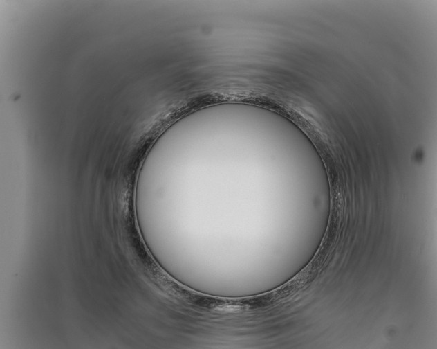 X0000091520499200708171013