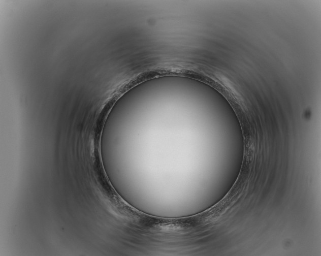 X0000091520500200708171013