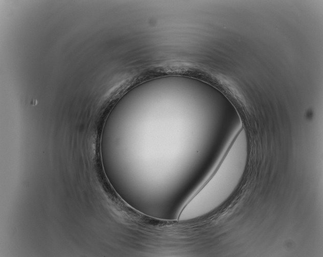 X0000091520501200708171013