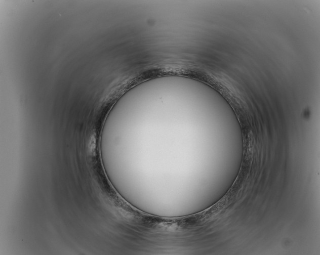X0000091520502200708171013
