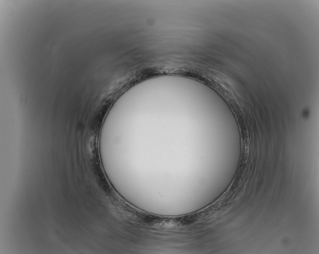 X0000091520503200708171013