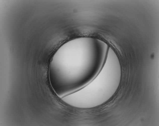 X0000091520505200708171013