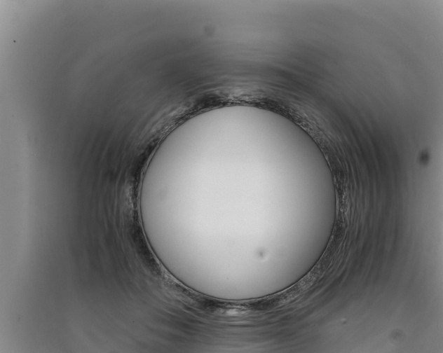 X0000091520506200708171013