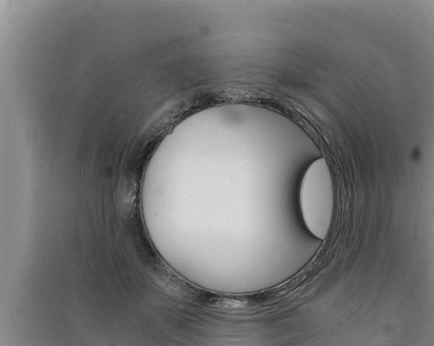 X0000091520507200708171013