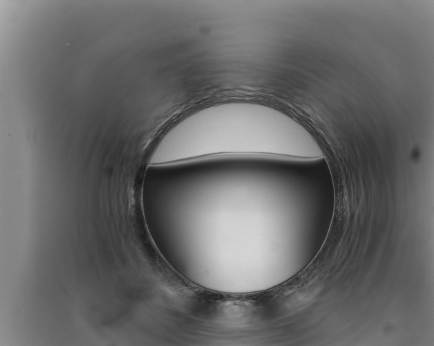 X0000091520508200708171013