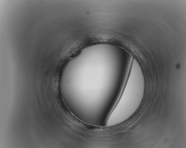 X0000091520509200708171013