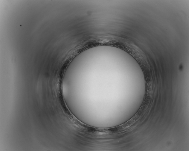 X0000091520510200708171013