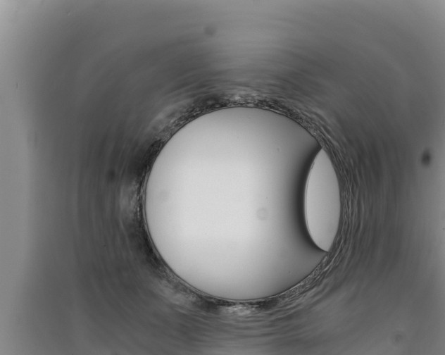 X0000091520511200708171013