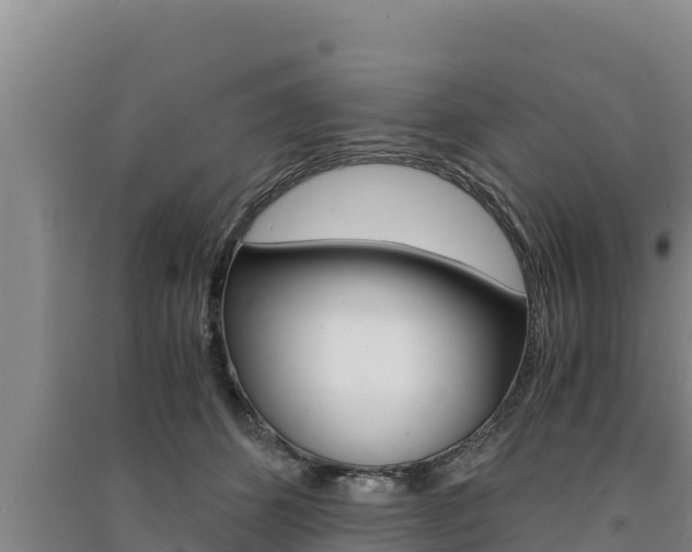 X0000091520512200708171012