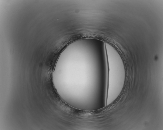 X0000091520513200708171012
