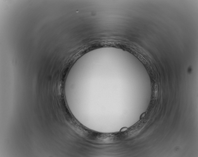 X0000091520514200708171012