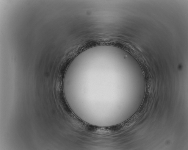 X0000091520515200708171012